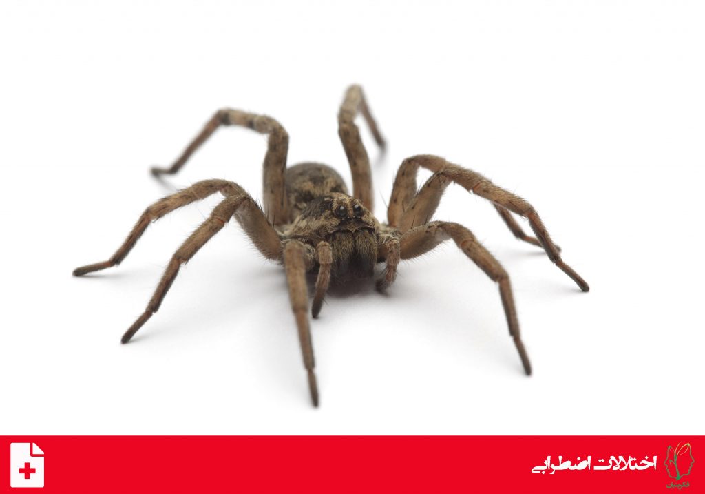 اختلال فوبی خاص