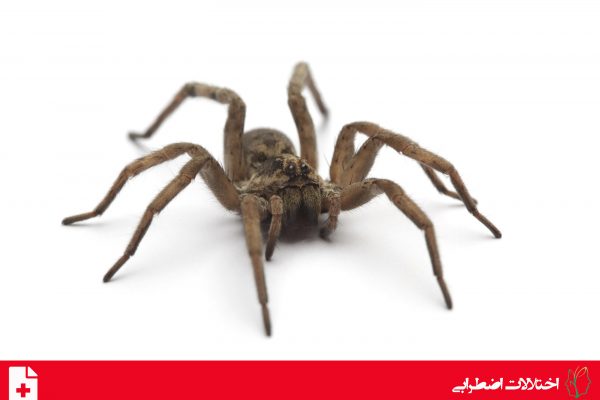 اختلال فوبی خاص
