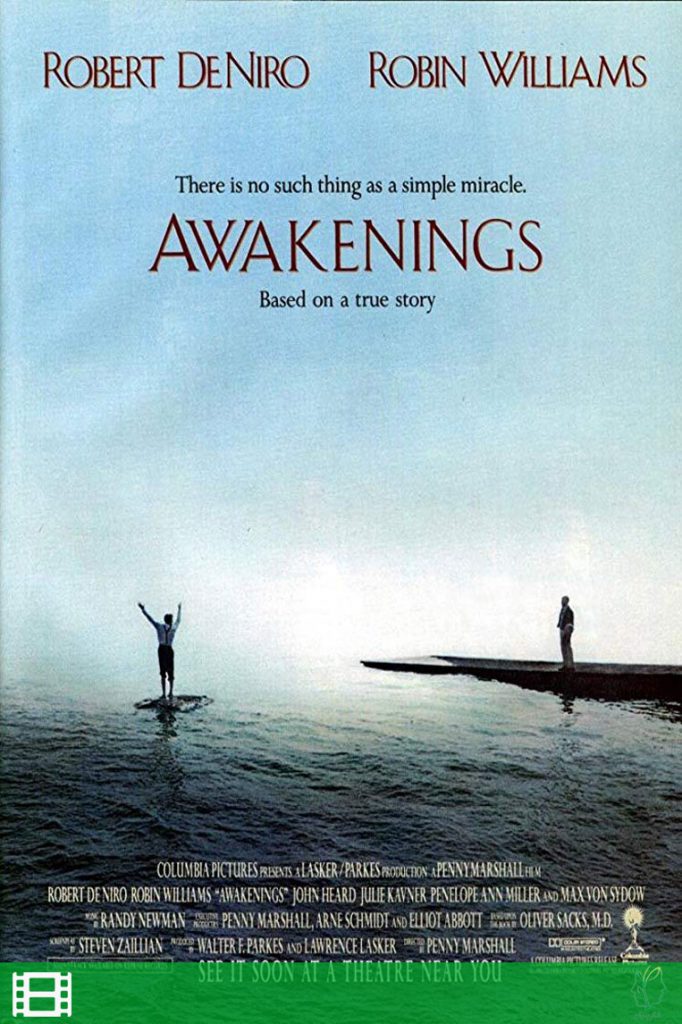 پوستر فیلم بیدارشدگان (Awakening)