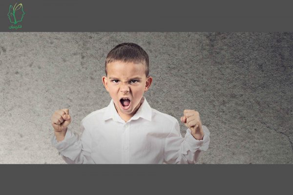 عوامل و نشانه های لجبازی در کودکان