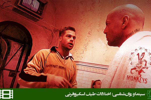 فیلم دوازده میمون