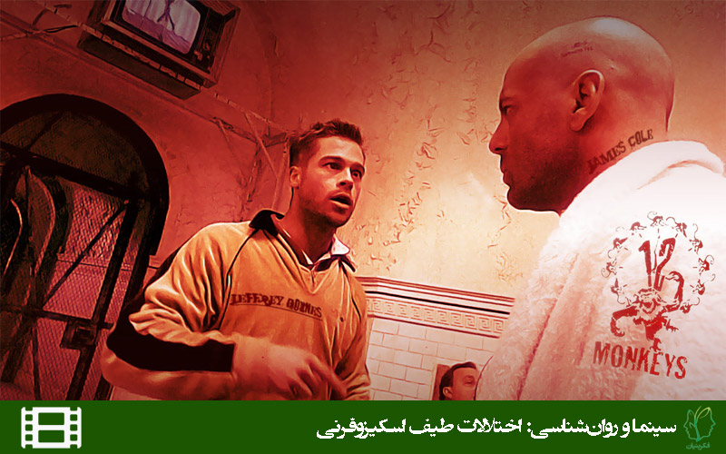 فیلم دوازده میمون